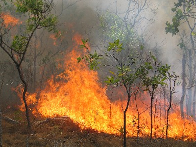 Φωτιά στο Μαρμαρά της Τουρκίας