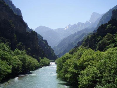 Συστράτευση όλων για να μην ξαναζήσουμε τις πυρκαγιές του παρελθόντος ζήτησε ο Κάρολος Παπούλιας