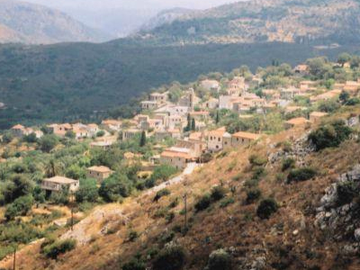 Πίθηκος – τρομακράτης εισβάλει σε περιβόλια