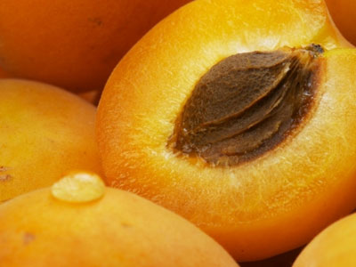 Τα βερίκοκα προστατεύουν τους καπνιστές!