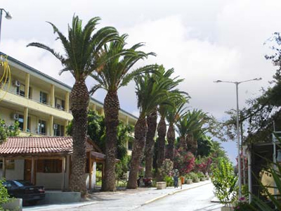 ΕΔΕ για το θάνατο της 33χρονης και του αγέννητου παιδιού της στο Ηράκλειο