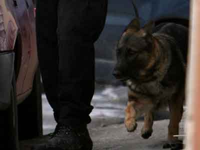 Ναρκωτικά σε σχολή Αστυνομίας στο Ηράκλειο Ναρκωτικά σε σχολή Αστυνομίας στο Ηράκλειο