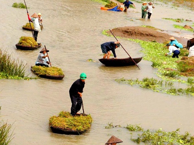 Οκτώ νεκροί από βροχοπτώσεις στο Βιετνάμ