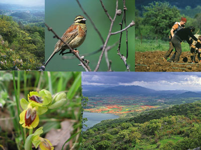 Βιοποικιλότητα, πτηνά και αιολική ενέργεια