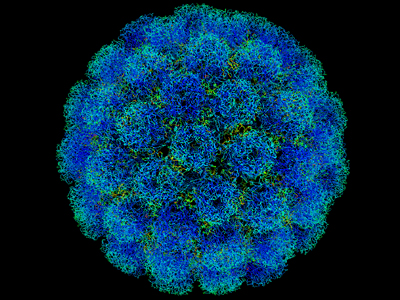 Ακόμα και οι ιοί παθαίνουν…  ίωση