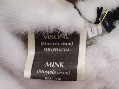 O Tζιμ Σου και η… αρκούδα