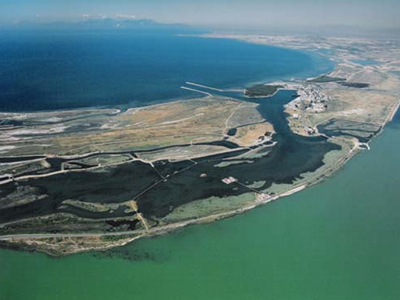 Αυτοψία στη Βιστωνίδα