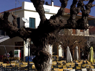 Ένταση στο δήμο Βυτίνας για οικόπεδο της εκκλησίας