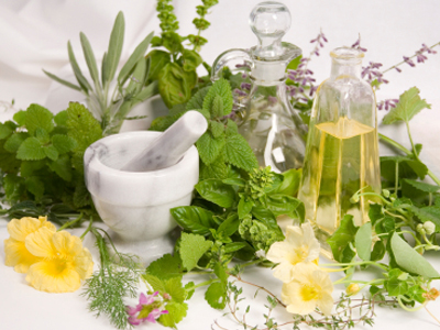 Θεραπευτικά βότανα