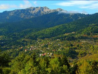 Έρευνες για τον εντοπισμό 83χρονης στο Αίγιο