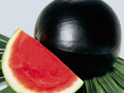 Καρπούζι από “χρυσάφι”