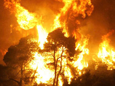 Συνελήφθη κτηνοτρόφος για εμπρησμό