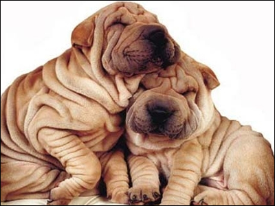 Πείτε «όχι» στις ρυτίδες