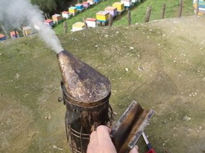 Τον εκδικήθηκε ψεκάζοντάς τον με σπρέι για μέλισσες