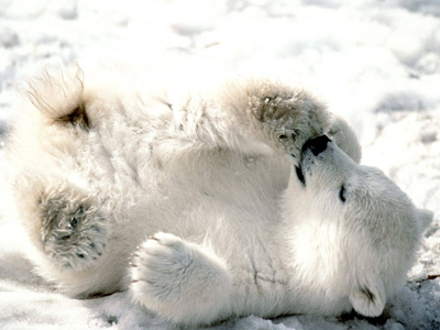 Δώρα με οικολογική συνείδηση