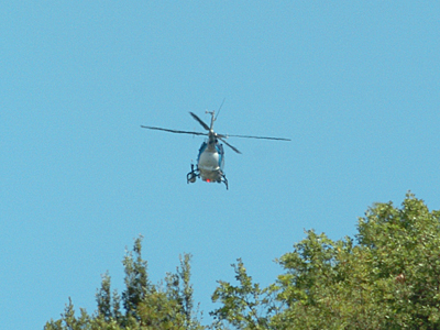 Εντοπίστηκε μεγάλη φυτεία χασίς