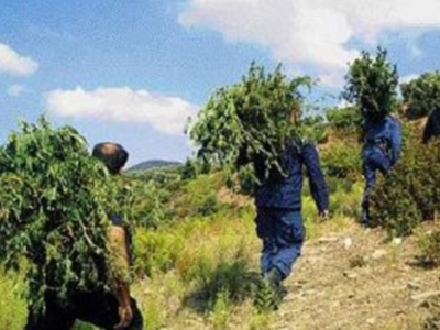 Εντοπίστηκαν ναρκωτικά στα σύνορα