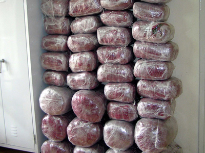 Αστυνομικοί διακινούσαν ναρκωτικά, κλεμμένα αυτοκίνητα και λαθρομετανάστες