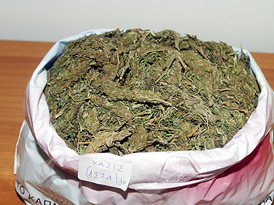 Έκαναν τον κήπο, χασισοφυτεία