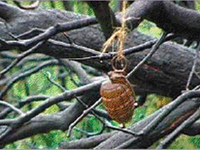 Κυνηγός βρήκε χειροβομβίδα κρεμασμένη σε δέντρο