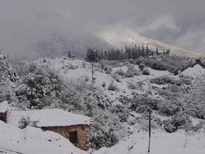 Επιχείρηση απεγκλωβισμού τριών γυναικών στην Θεσσαλονίκη λόγω χιονιά