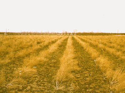 Ενημέρωση της ομογένειας στη Γερμανία για το κτηματολόγιο