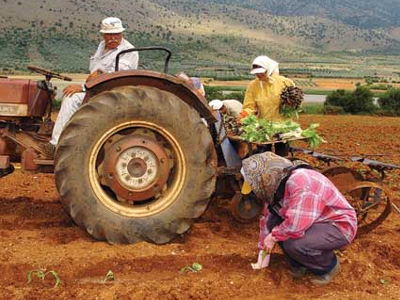 Από 1η έως 15 Απριλίου οι φορολογικές δηλώσεις των αγροτών