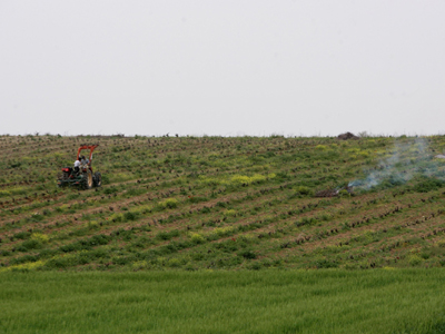 Κατεβάζουν τα μολύβια οι γεωπόνοι του δημοσίου