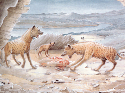 Οι αρχαιότερες τρίχες της ιστορίας