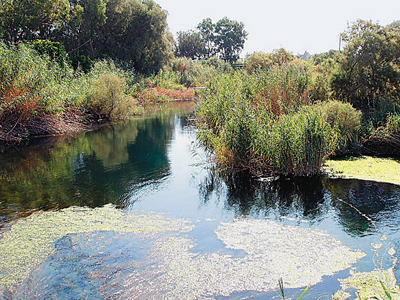 Όχι στο μπάζωμα του υγροτόπου Αλμυρού Κρήτης