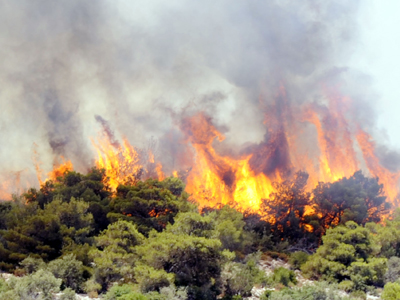 Στάχτη έγιναν 1000 στρέμματα δάσους στον Υμηττό