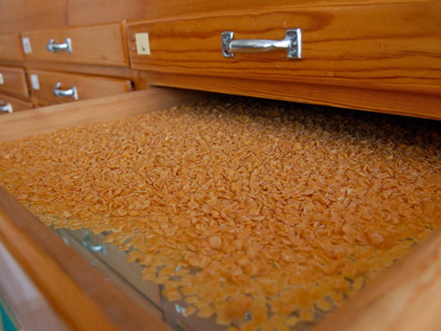 Μποϊκοτάζ στα ζυμαρικά για μια εβδομάδα