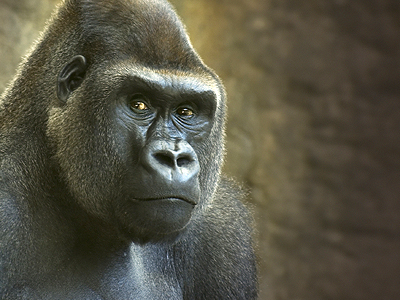 Επιτέλους μαζί