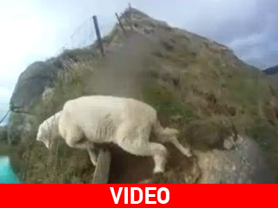 Τέλος καλό, όλα καλά!