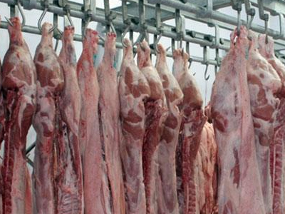 Υγειονομικοί έλεγχοι στη Ρόδο