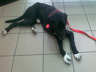 Αρούλης μόνος ψάχνει!