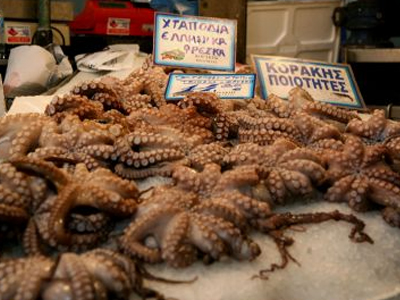 Κατέσχεσαν 13 τόνους τρόφιμα