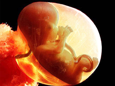 Viagra και στην εγκυμοσύνη για πιο υγιή έμβρυα