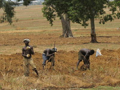 Νιγηριανοί αγρότες εναντίον Shell