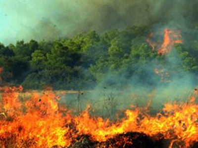 ΤΩΡΑ: Πυρκαγιά στα Καλυβάκια Ηλείας ΤΩΡΑ: Πυρκαγιά στα Καλυβάκια Ηλείας