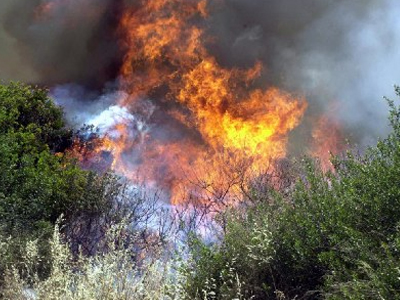 Σε εξέλιξη πυρκαγιά στην Παλαιοπάργα Πρέβεζας