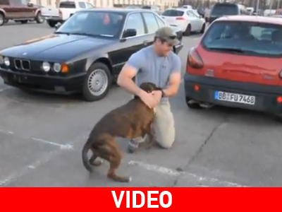 Μια εικόνα χίλιες λέξεις! Μια εικόνα χίλιες λέξεις!