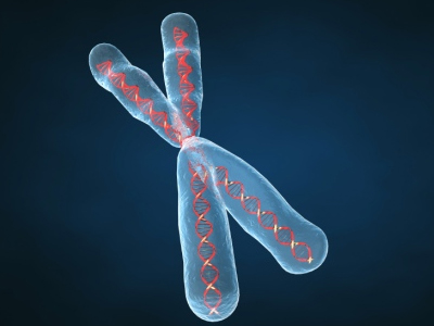 ΓΟΝΙΜΟΤΗΤΑ: Πόσο σημαντικό ρόλο παίζουν οι χρωμοσωμιακές ανωμαλίες