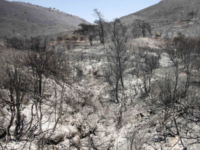 ΤΑ ΝΕΑ ΤΟΥ ΜΠΙ-ΚΟΥ-ΤΙ