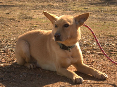 Ο μικρόσωμος Avin είναι έτοιμος να πάει σε σπίτι!