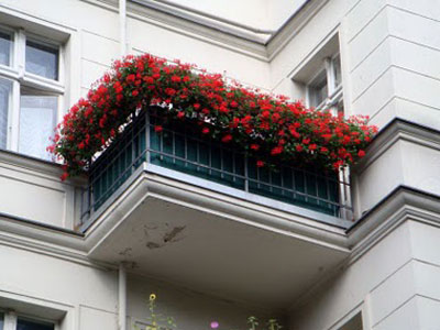 Ένας άτυχος ρομαντικός «διαρρήκτης»