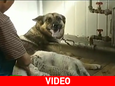 Ένα απίστευτο θέαμα!