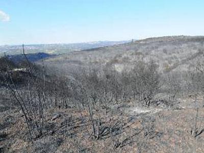 Σχεδόν έτοιμα τα αντιπλημμυρικά έργα στον Μαραθώνα