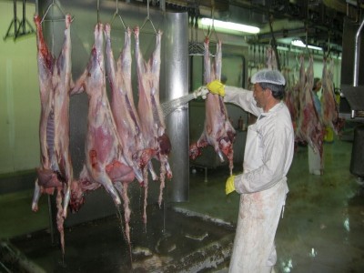 Είχαν φτιάξει το δικό τους σφαγείο