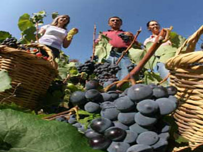 Ξεκινά η καταβολή των αποζημιώσεων του ΕΛΓΑ